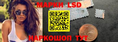 spice Новодвинск