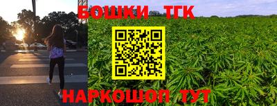 spice Новодвинск