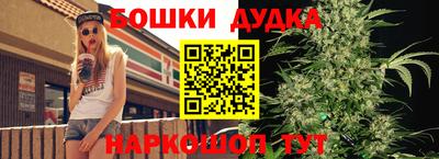 твердый Новозыбков