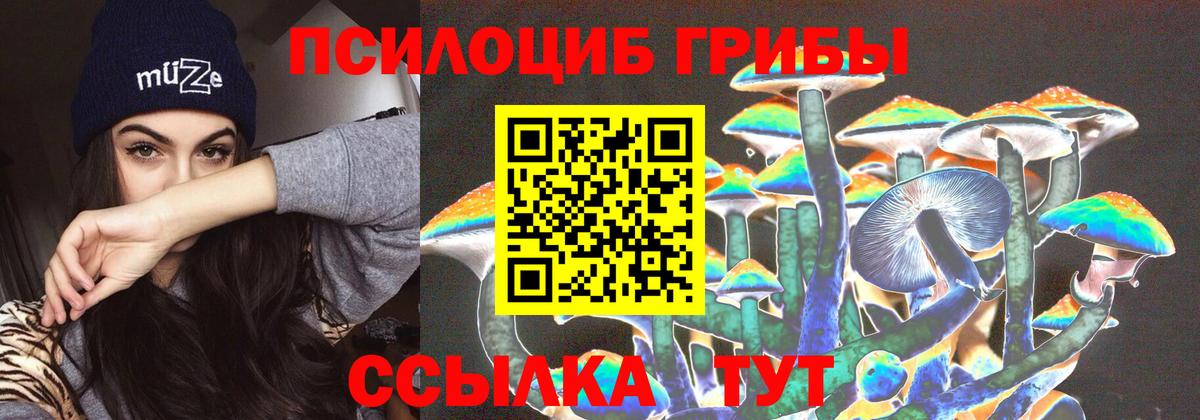 Псилоцибиновые грибы Cubensis  Галлюциногенные грибы прущие грибы  Вход с VPN  продажа наркотиков  Советская Гавань 